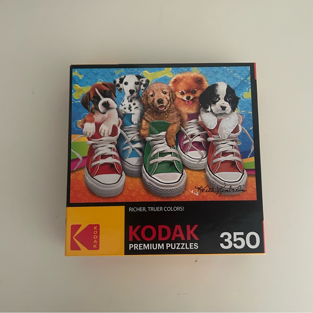 300 Piece Puzzle
